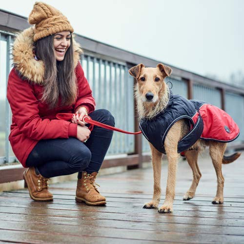 HUNTER - Abrigo para Perro (40 cm), Color Antracita y Rojo