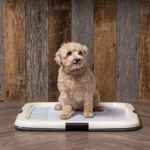Iris Ohyama, bandeja de entrenamiento para perro, educación para la limpieza - Pet Pad Holder - plástico, gris, tamaño mediano, 55,8 x 58,4 x 2,54 cm