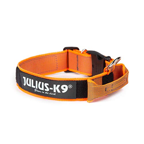 Julius-K9 Color & Gray Collar con La Manija, La Cerradura De Seguridad Y El Remiendo Intercambiables, 40 Mm (38-53 Cm), Naranja-Gris