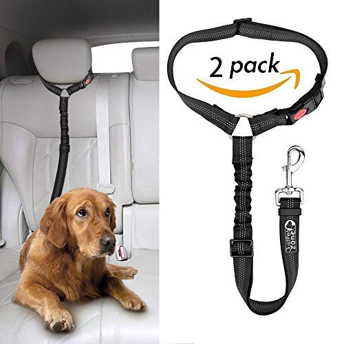Just Pet Zone - Cinturón para reposacabezas de Coche para Perro, 2 Unidades, Ajustable, Duradero, con elástico de Nailon
