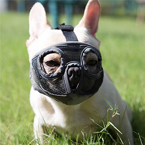 JYHY - Bozal Corto para Perro con Forma de Bulldog de Malla Transpirable Ajustable para mascarar, Cortar y Entrenar a Perros