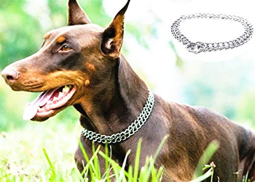 JYHY - Collar para Perro, Cadena en Forma de P y Cadena de Metal de Hierro y Doble Fila, para Entrenar a los Perros pequeños, medianos y Grandes