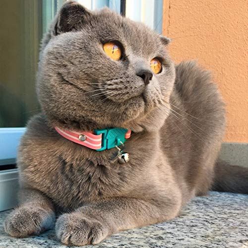 Kittyrama Collar para Gato, Estilo Bermuda. Ganador del Premio 'Cat Friendly'. Otros Estilos Disponibles. Visto en la Revista Vogue
