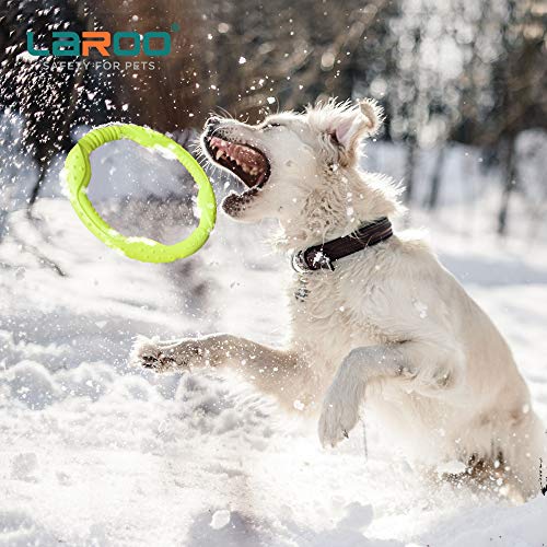 LaRoo Dog Frisbee Dog Disc Toy, Disco de Lanzamiento Duradero para Perros Fuertes para Perros pequeños, medianos y Grandes, Deporte, Ejercicio, Actividad y Juegos al Aire Libre (30 cm Verde)