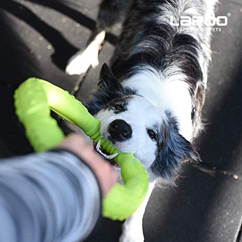 LaRoo Dog Frisbee Dog Disc Toy, Disco de Lanzamiento Duradero para Perros Fuertes para Perros pequeños, medianos y Grandes, Deporte, Ejercicio, Actividad y Juegos al Aire Libre (30 cm Verde)
