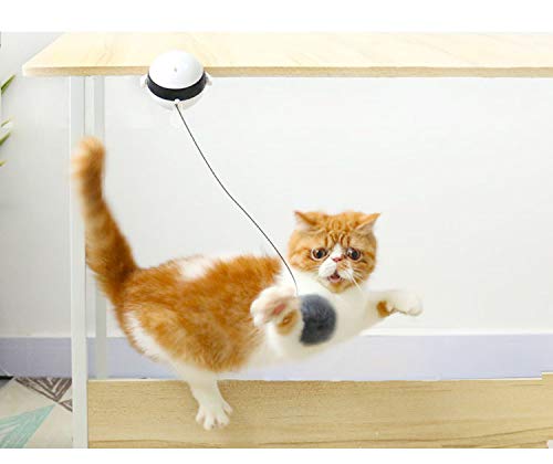 LINGRUI juguetes electrónicos para gatos de interior, pelota de juguete para gatos, pelota de elevación automática, juguetes interactivos para gatos pelota giratoria automática