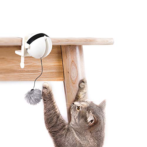 LINGRUI juguetes electrónicos para gatos de interior, pelota de juguete para gatos, pelota de elevación automática, juguetes interactivos para gatos pelota giratoria automática