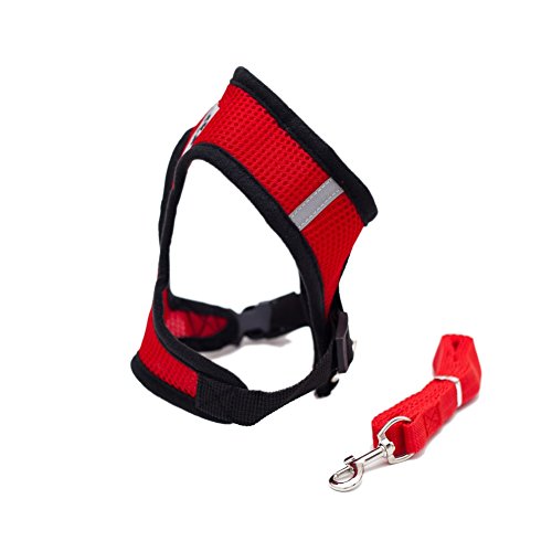 Locisne Tela de malla chaleco para perros Arnés suave ajustable cómodo | El plomo en el pecho del animal doméstico caminar con correa con clip (rojo, Grande)
