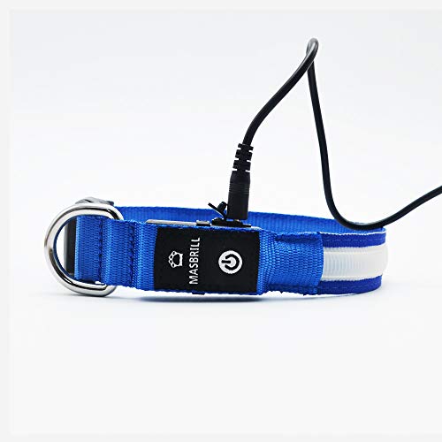 MASBRILL Collar Luminoso Perro de Mascota, 3 Modos Collar Perro Luz con Recargable y Impermeable, Ajustable Collares LED para Perros Pequeños/Medianos/Grandes(Azul M)