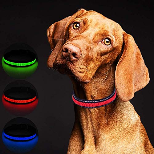 MASBRILL USB Collar de Perro LED Recargable Iluminado Collar Intermitente Luces La Seguridad Ajustable Neck Loop