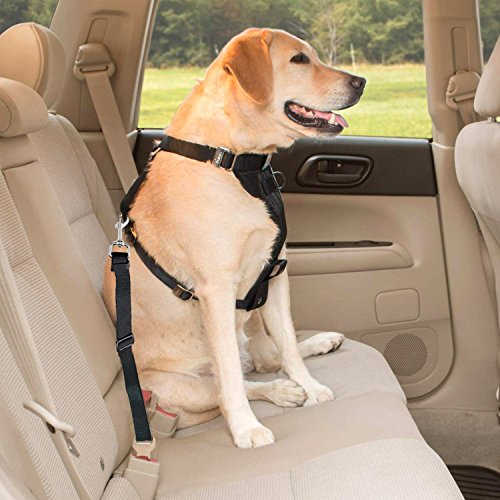 MUNSTER 2* Cinturón de Seguridad de Coche Universal Para Perros(10-30KG) Correa de Seguridad Ajustable para Viaje con Mascotas en Coches Vehículos
