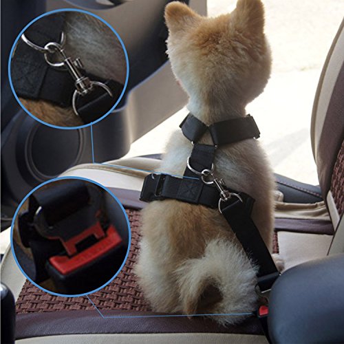 MUNSTER 2* Cinturón de Seguridad de Coche Universal Para Perros(10-30KG) Correa de Seguridad Ajustable para Viaje con Mascotas en Coches Vehículos