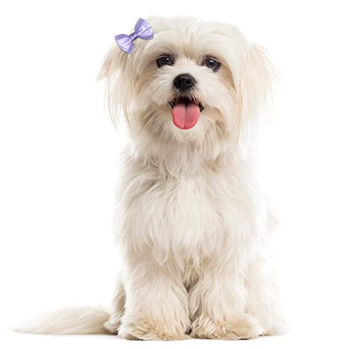 Netspower Accesorios para el Pelo del Perro Tocado del Arco, 50Pcs Horquilla Mascotas Accesorios para el Pelo del Perro Accesorios Pinza de Pelo de Mariposa para Mascotas con Bandas de Goma