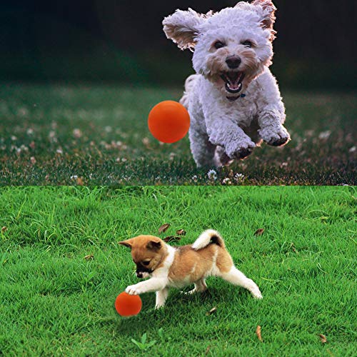 Pelota de perro indestructible, pelota de goma natural para buscar, atrapar, lanzar