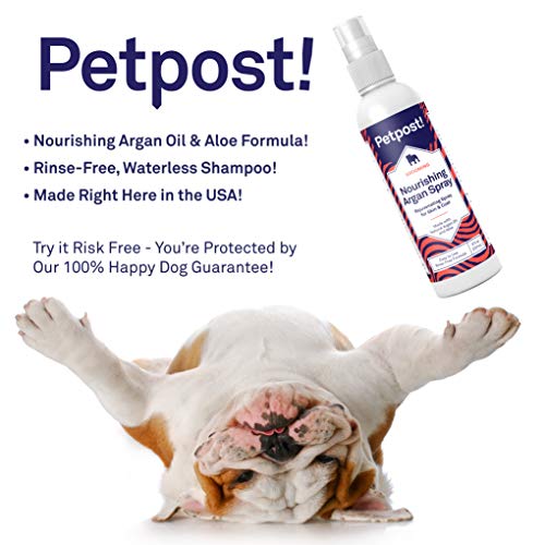 Petpost | Spray de champú de argán sin Agua para Perros - Desodorante y Limpiador de Pieles naturalmente nutritivo para Pieles más sanas y Brillantes - Fórmula sin Enjuague