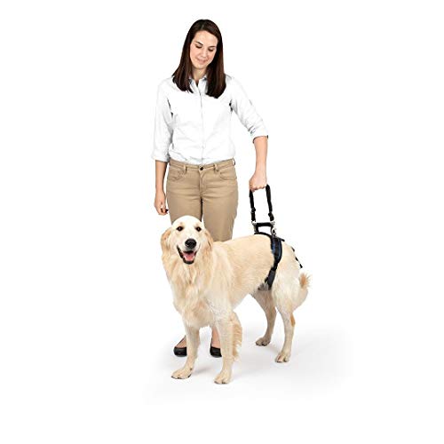 PetSafe Arnés de soporte trasero CareLift - Elevación con un asa y una correa para el hombro - Para perros discapacitados o ancianos - Material transpirable y cómodo - Ajuste fácil - Perro grande
