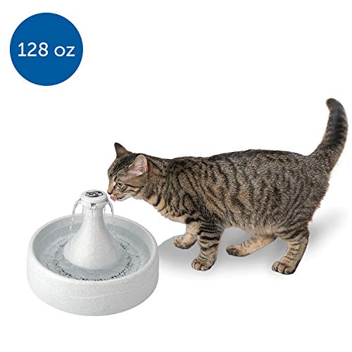 PetSafe Drinkwell - Fuente para Mascotas, 360, plástico