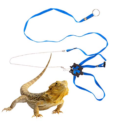 POPETPOP Arnés para Mascotas Reptil Turtle Lizard Leash Correa de Entrenamiento Ajustable para Exteriores (Azul)