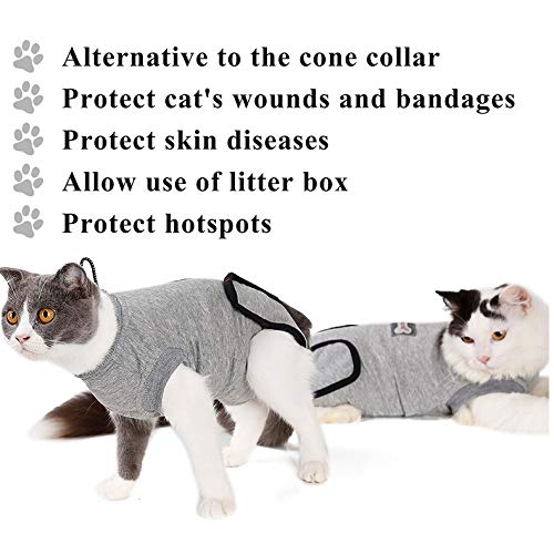 RC GearPro Traje de recuperación Cat para heridas Abdominales o Enfermedades de la Piel, Camisa de Gato de algodón Alternativa y Transpirable después de heridas por cirugía (M, Gris)