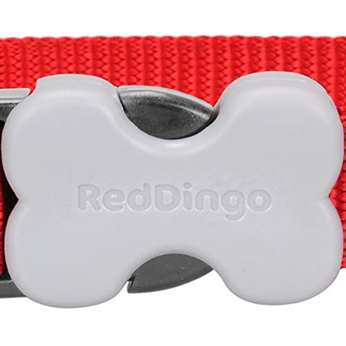 Red Dingo Plain - Collar Perro, Rojo (Red), talla del fabricante: M