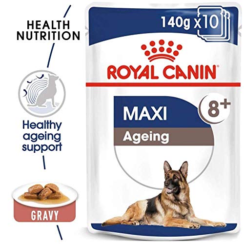 ROYAL CANIN Comida húmeda Maxi Ageing 8+ Trozos de Carne en Salsa para Perros Senior de Razas Grandes - Caja 10 x 140 gr (Bolsitas)