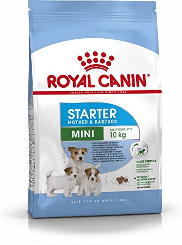 ROYAL CANIN Mini Starter - 8500 gr