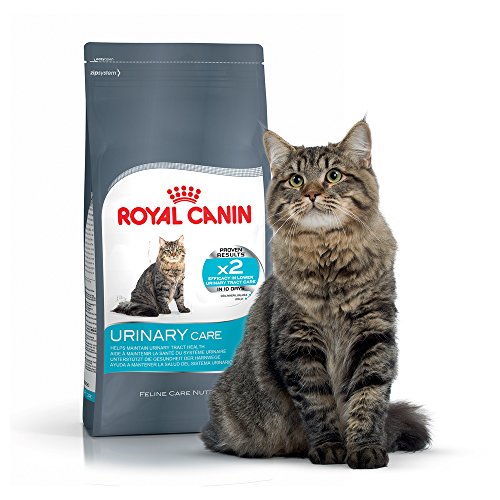 ROYAL CANIN – pienso para Cuidado del tracto urinario para Gato, 400 g