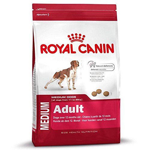 Royal Canin - Royal Canin Medium Adult - 243 - 4 kg