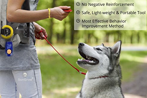 SunGrow Colorful & Practical Set de 7 Clickers con correas de muñeca y botones grandes: simple, práctico y eficaz herramientas de entrenamiento para su perro o cachorro: tamaño justo y sonido