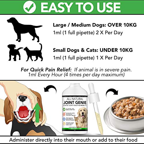 The Healthy Dog Co Cuidado de Perros – Suplementos para Perros y Gatos – 100 Porciones – Suplementos Naturales Líquidos para Articulación Canina de Acción Rápida para Perros Mayores