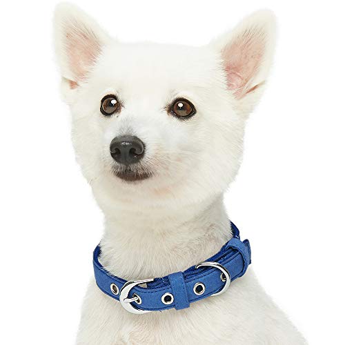 Umi. by Amazon - Designer - Collar para perros con adorable estampado de huesos y hebilla metálica S, cuello 23-32 cm (azul oscuro)