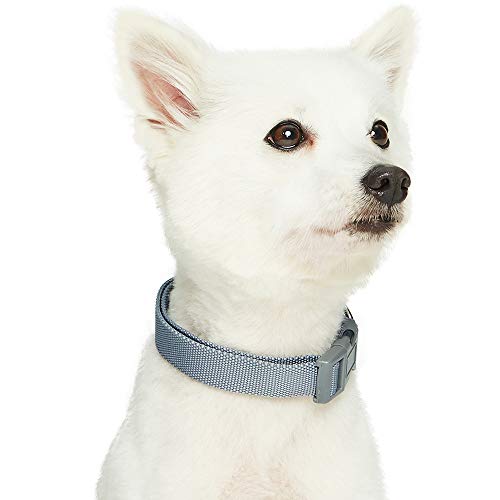 Umi. Essential Classic - Collar para perros L, cuello 45-66 cm, collares ajustables para perros (gris)