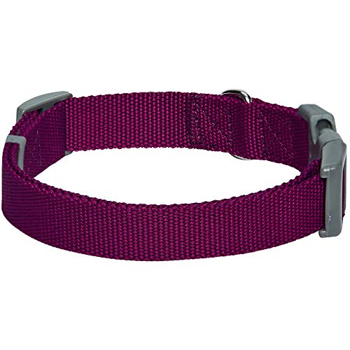 Umi. Essential Classic - Collar para perros L, cuello 45-66 cm, collares ajustables para perros (morado)