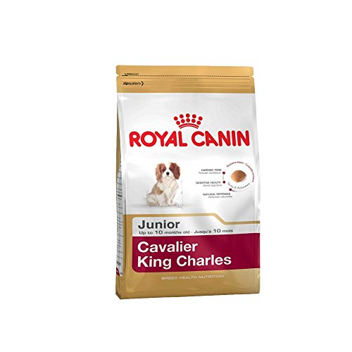 3 kg Royal Canin Cavalier King Charles Junior (2 x 1,5 kg) suministrado por Maltby's UK