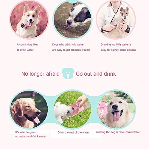 Botella de Agua para Perro, Botella Portátil de agua Potable para Mascotas al Aire Libre, Resina Plástica ABS Ambiental (Rosa)