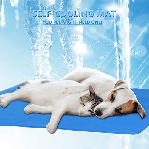 Cadosoigh Alfombra de Refrigeración Animales Nevera y Manta para Perro Fresco Cojín Azul Nevera Techo Camas de Suelo Couch Zwinger Auto(90 * 50 CM)