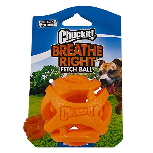 Chuckit! CU31932 Pelota Breathe Right Fetch Ball Medium, Bola De Entrenamiento para Perros, M