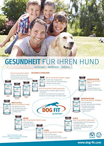 DOG FIT by PreThis® White Dental para Perros | para el sarro y la Placa Dental | Completamente Natural | ¡Certificado ISO!