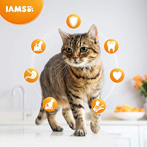 IAMS for Vitality Cat Food for Hairball Control with Fresh Chicken, 3 kg
