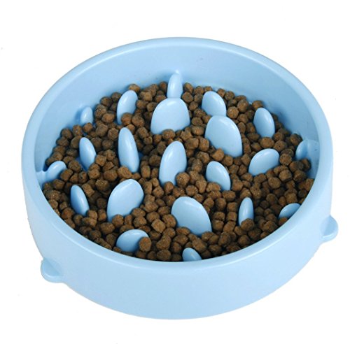 Itian Comida Lenta, Perros Tazón Plato de Comida para Mascotas con Alfombra Antideslizante (Azul)