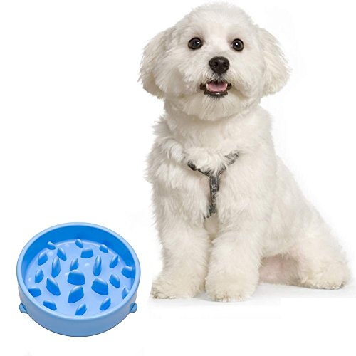 Itian Comida Lenta, Perros Tazón Plato de Comida para Mascotas con Alfombra Antideslizante (Azul)