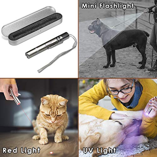 Juguetes para gatos Puntero LED, USB recargable 3 en 1 Función, Mini linterna + Luz roja + Luz ultravioleta, Interactivo Mascota Comando de luz, Herramienta de entrenamiento para Gato Perro Cazador
