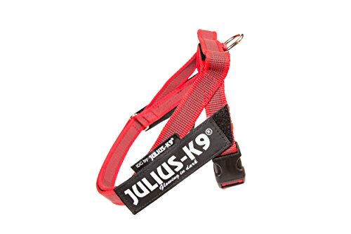 Julius-K9 16IDC-M-R-2015 IDC-Belt Harness, Color & Gray Series Size: Mini, Breast Measurement: 19, 5-26, 5"/49-67 cm, Red 2015 Model, XS, Rojo