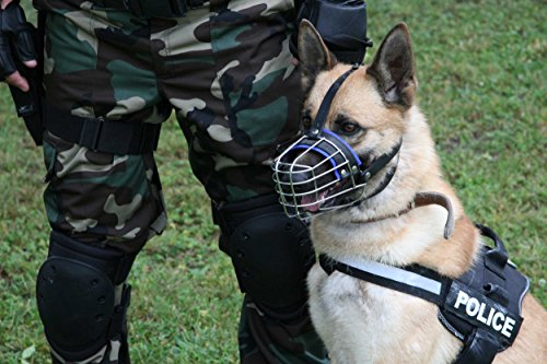 Julius K9 Metal Muzzle for Police Dogs: Mali Male, German Sheperd Bitch, 5 cm