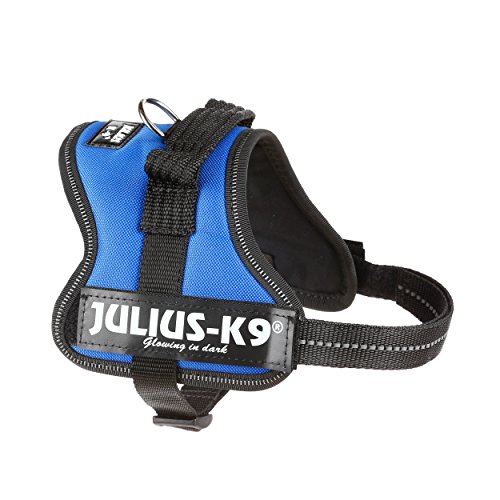 Julius-K9 Mini-Mini, 40-53 cm, Azul