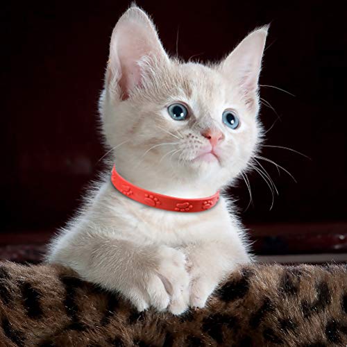 Kylewo Collar de garrapatas para Perros y Gatos Collar de garrapatas Collar de prevención de pulgas y garrapatas, 8 Meses de protección: Ajustable para Mascotas pequeñas y Medianas