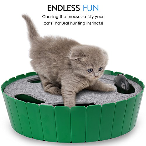 Pawaboo Juguete/Escondite Electrónico para Gato - Pet Teasing Toy Hide & Seek Electronic Caza del Ratón Interactivo Cat Toy, Verde
