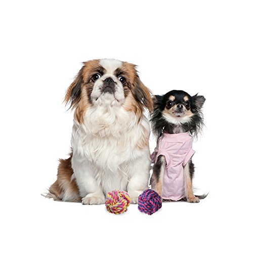 Pelota de juguete con cuerda para perro, pack de 2 bolas trenzadas de algodón para limpiar los dientes de los perros