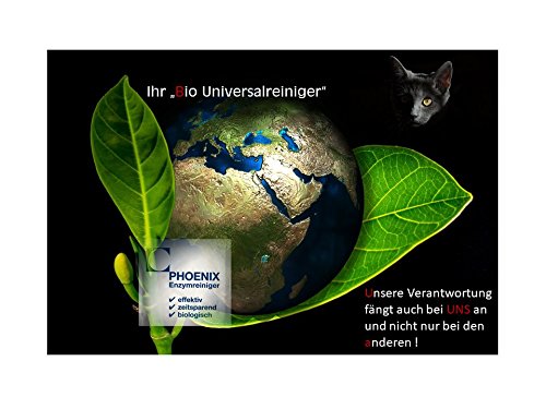 PHOENIX Limpiador enzimático 250 g en bolsa de plástico para al menos 12,5 litros limpiador universal, eliminador de olores, eliminador de olores y olores, orina permanente de estrich UVM.