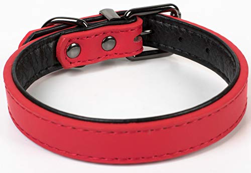 Puccybell Collar para Perros 2 Coloreado con Cuero, Collar clásico en Colores Contrastantes para Perros pequeños, medianos y Grandes HB004 (M, Rojo)